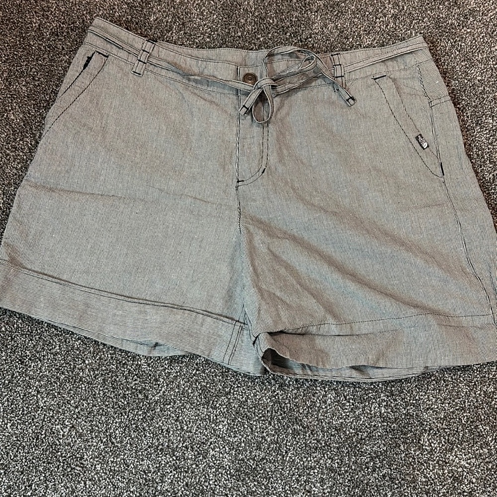 Northface Pinstripe Shorts